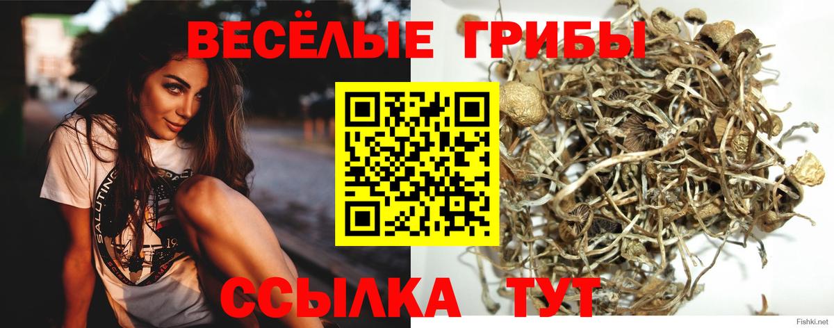 Галлюциногенные грибы Psilocybe  Псилоцибиновые грибы Magic Shrooms  Вход с VPN  Грязи 